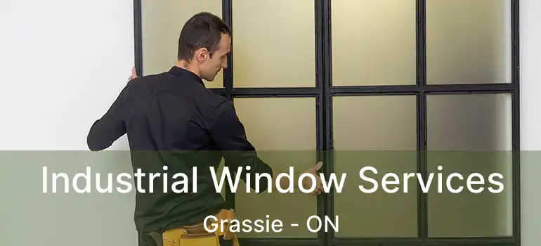  Industrial Window Services Grassie - ON