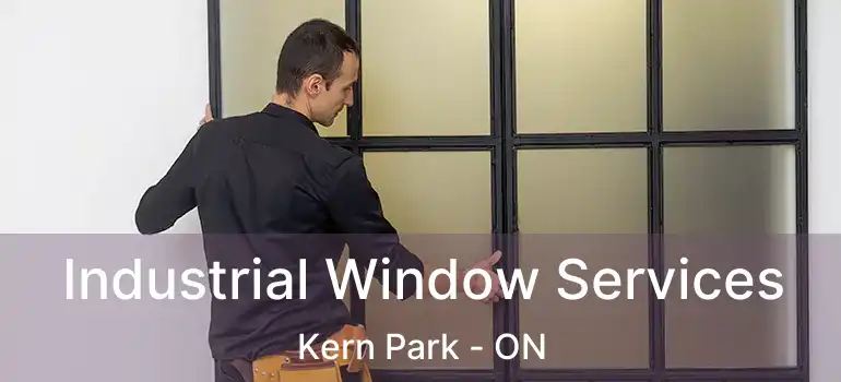  Industrial Window Services Kern Park - ON
