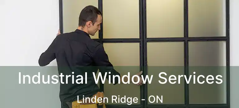  Industrial Window Services Linden Ridge - ON