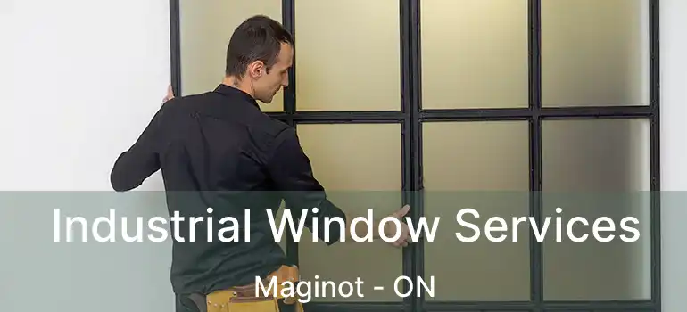  Industrial Window Services Maginot - ON