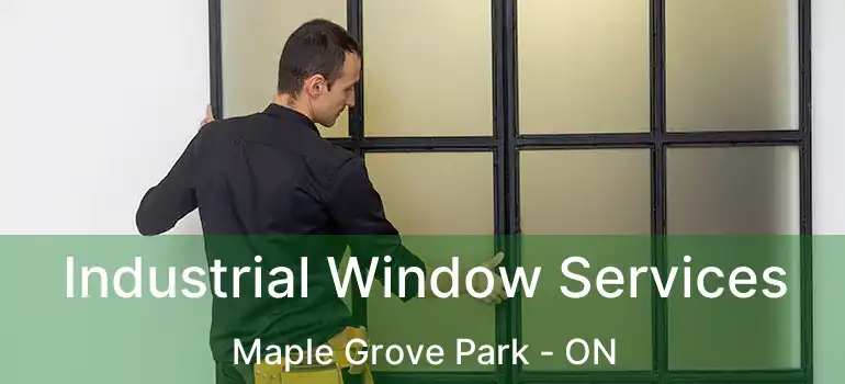  Industrial Window Services Maple Grove Park - ON
