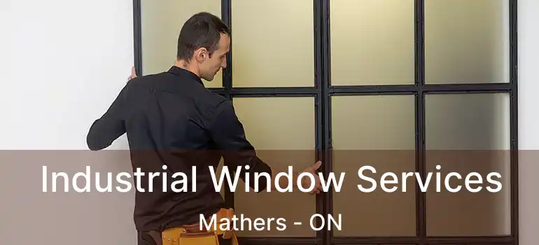  Industrial Window Services Mathers - ON