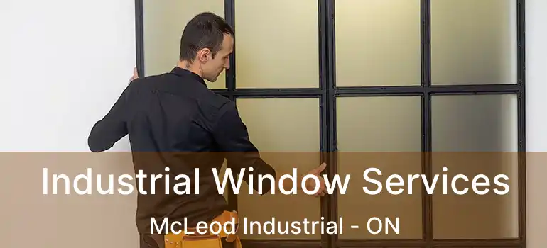  Industrial Window Services McLeod Industrial - ON