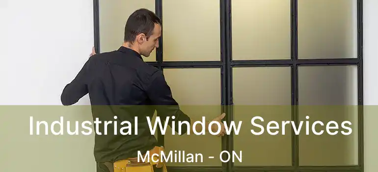  Industrial Window Services McMillan - ON
