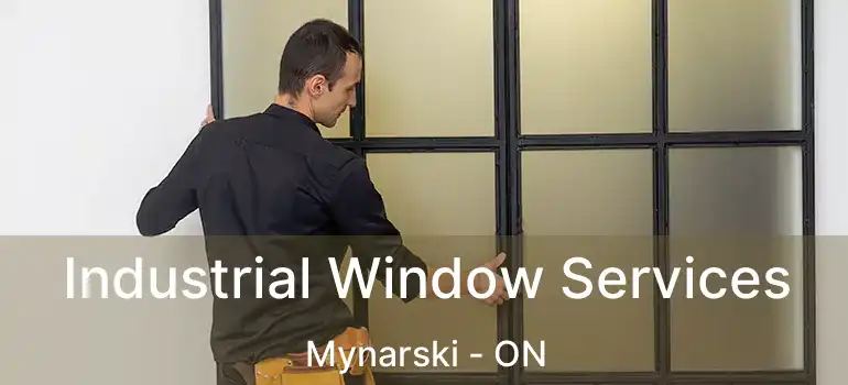  Industrial Window Services Mynarski - ON