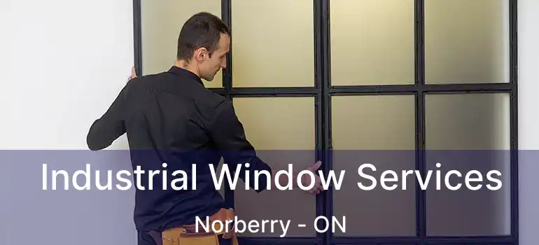  Industrial Window Services Norberry - ON