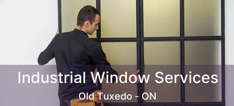  Industrial Window Services Old Tuxedo - ON