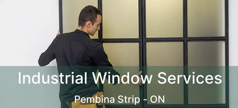  Industrial Window Services Pembina Strip - ON