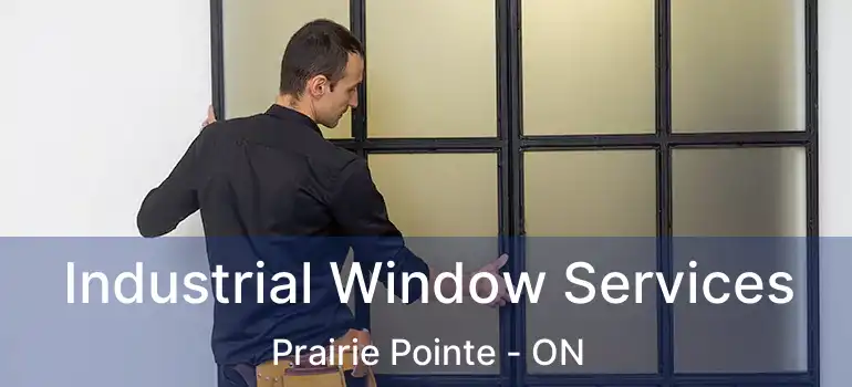  Industrial Window Services Prairie Pointe - ON