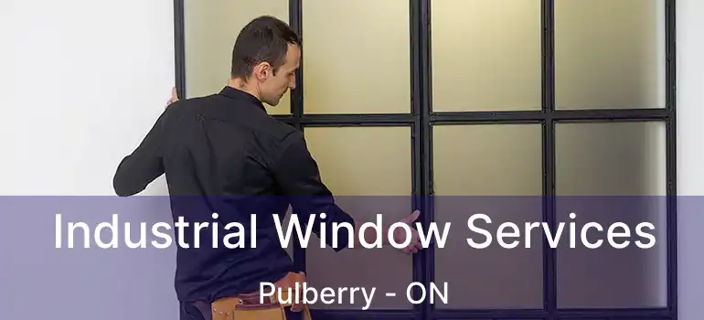  Industrial Window Services Pulberry - ON