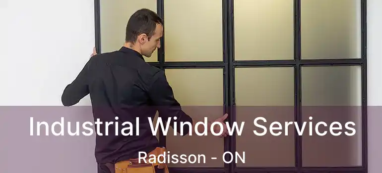  Industrial Window Services Radisson - ON