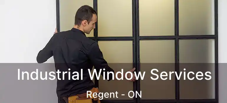  Industrial Window Services Regent - ON