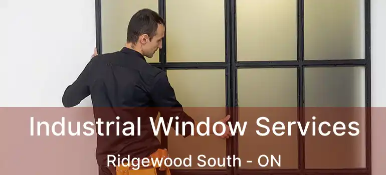  Industrial Window Services Ridgewood South - ON