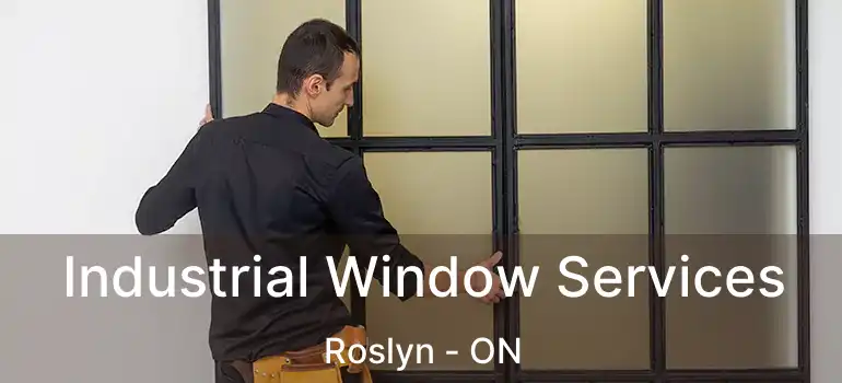  Industrial Window Services Roslyn - ON