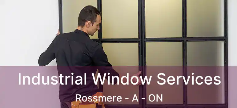  Industrial Window Services Rossmere - A - ON