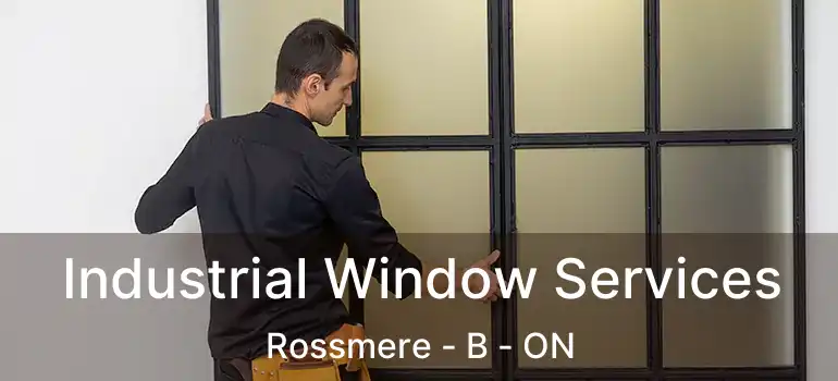  Industrial Window Services Rossmere - B - ON