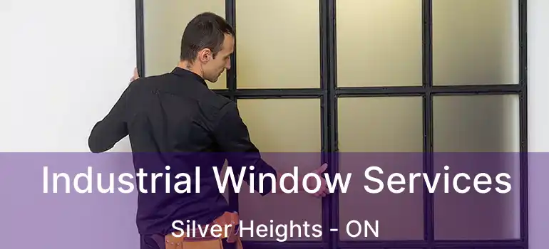  Industrial Window Services Silver Heights - ON