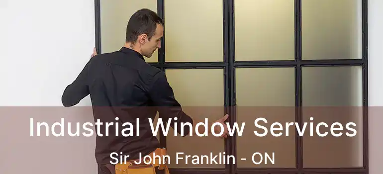  Industrial Window Services Sir John Franklin - ON