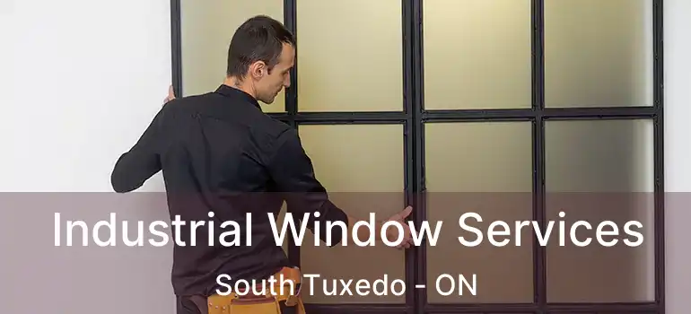  Industrial Window Services South Tuxedo - ON