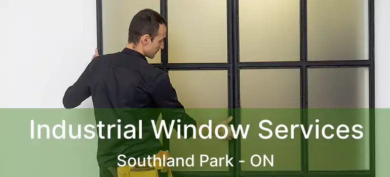  Industrial Window Services Southland Park - ON