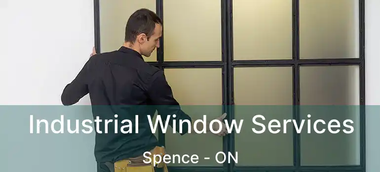  Industrial Window Services Spence - ON