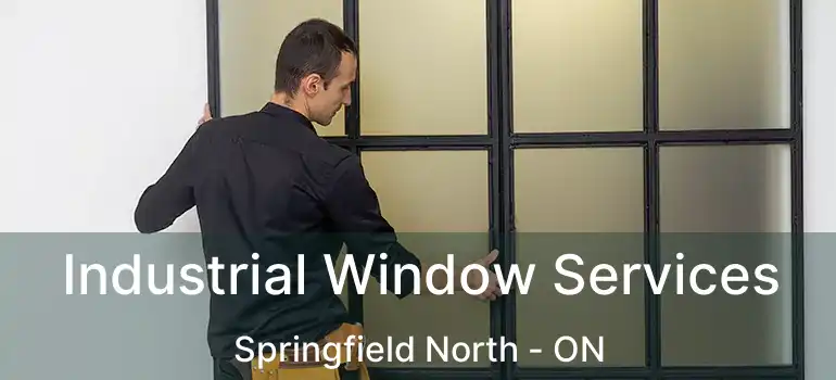  Industrial Window Services Springfield North - ON