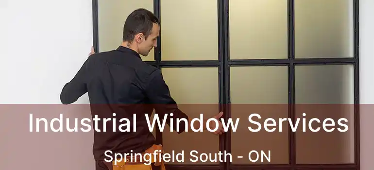  Industrial Window Services Springfield South - ON