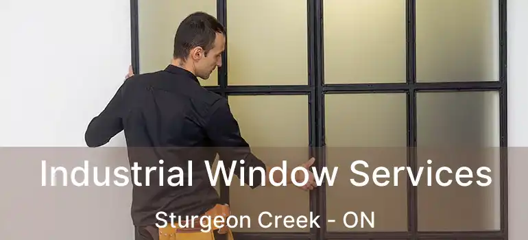  Industrial Window Services Sturgeon Creek - ON