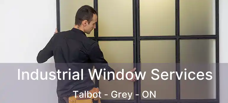  Industrial Window Services Talbot - Grey - ON