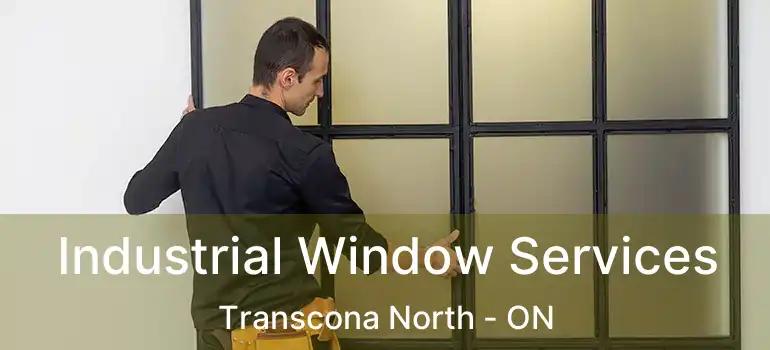  Industrial Window Services Transcona North - ON
