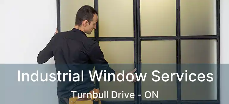  Industrial Window Services Turnbull Drive - ON