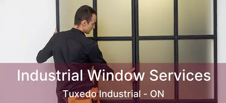  Industrial Window Services Tuxedo Industrial - ON