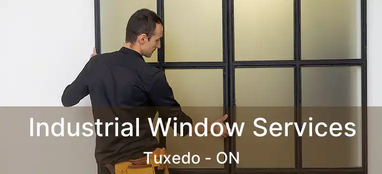  Industrial Window Services Tuxedo - ON