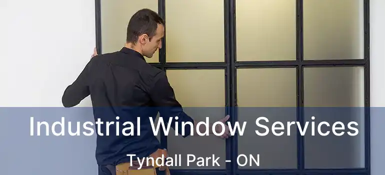  Industrial Window Services Tyndall Park - ON