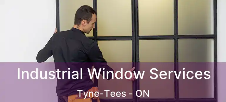  Industrial Window Services Tyne-Tees - ON