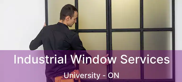  Industrial Window Services University - ON