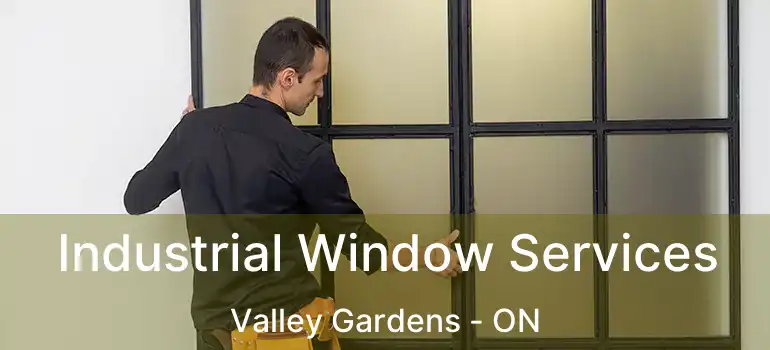  Industrial Window Services Valley Gardens - ON