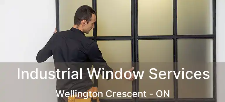  Industrial Window Services Wellington Crescent - ON