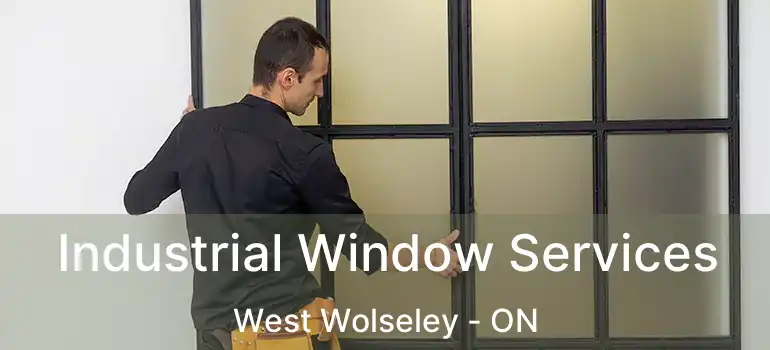  Industrial Window Services West Wolseley - ON