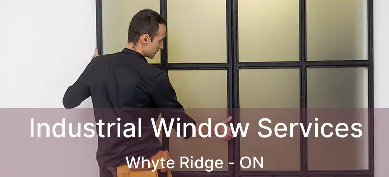  Industrial Window Services Whyte Ridge - ON
