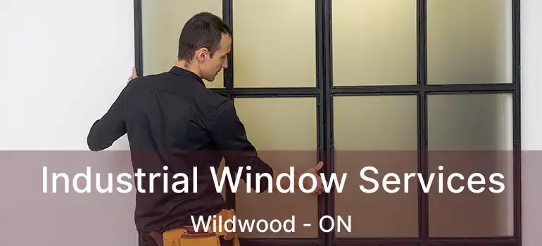  Industrial Window Services Wildwood - ON