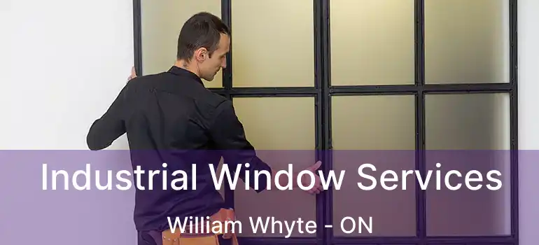  Industrial Window Services William Whyte - ON
