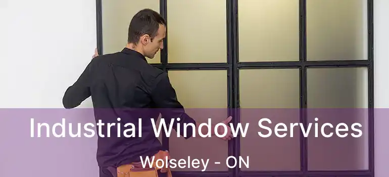  Industrial Window Services Wolseley - ON