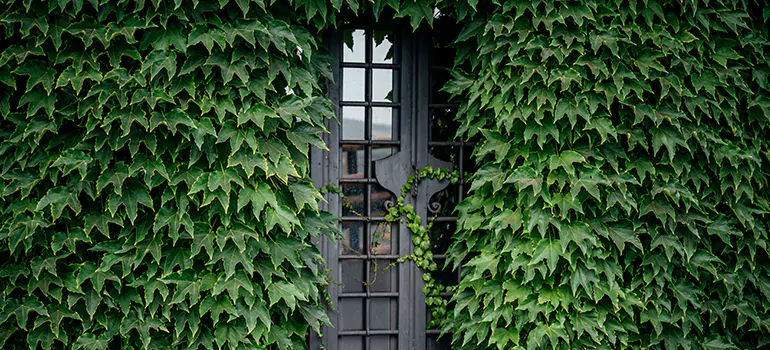 Garden Gate Repair in Barrie, ON