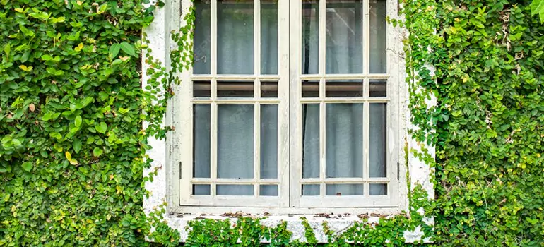 Garden Window Repair Near Me in Barrie, ON