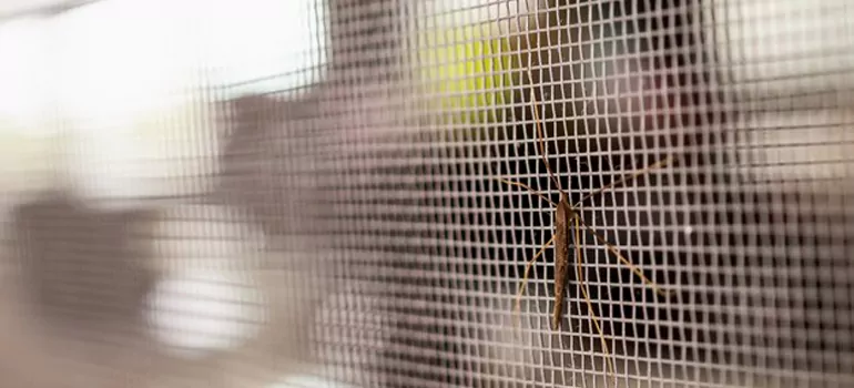 Repair Mosquito Mesh For Windows in Barrie, Ontario