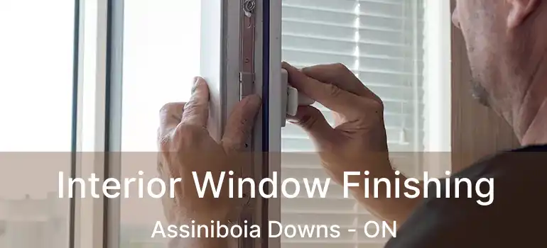  Interior Window Finishing Assiniboia Downs - ON
