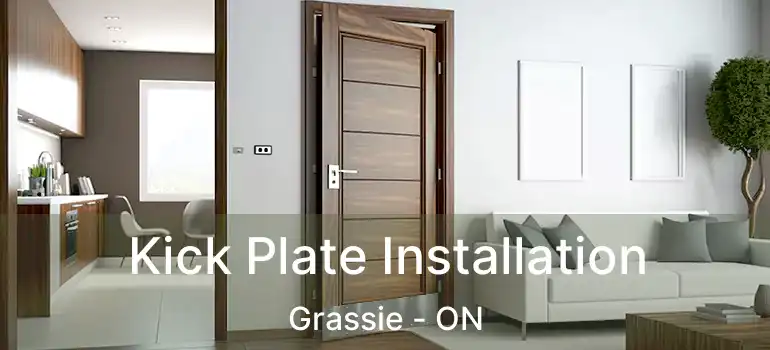  Kick Plate Installation Grassie - ON