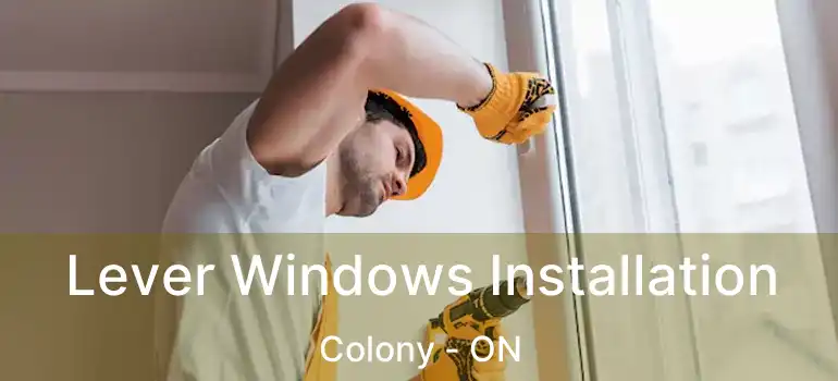  Lever Windows Installation Colony - ON