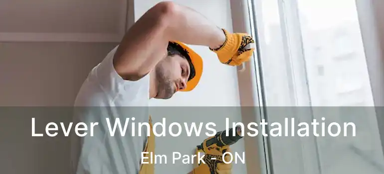  Lever Windows Installation Elm Park - ON